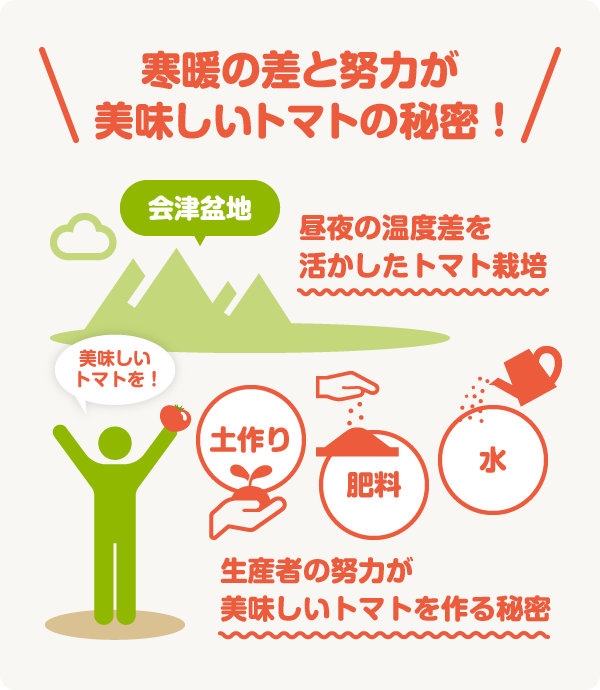 テーマ食材:トマト