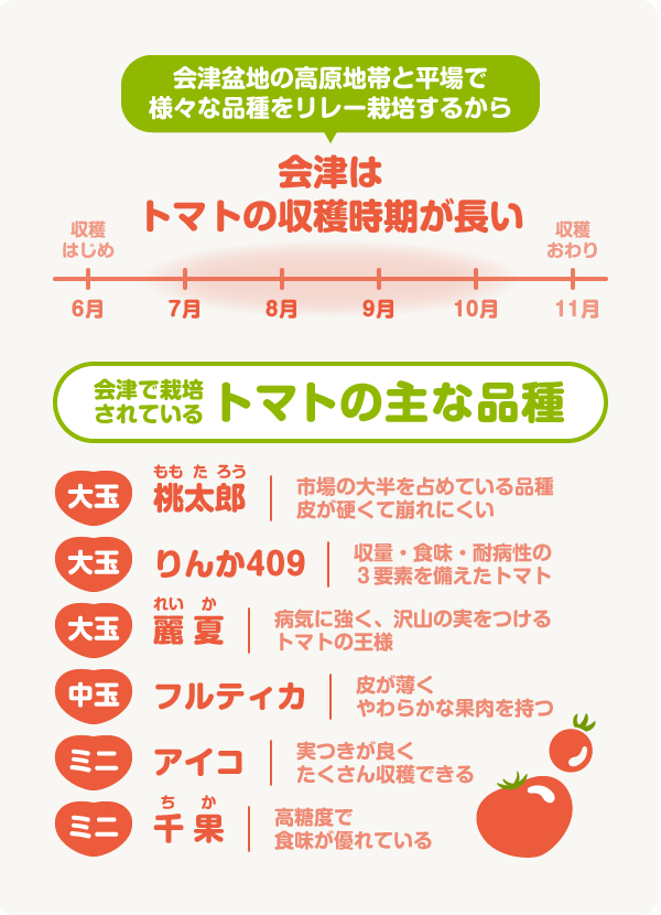テーマ食材:トマト