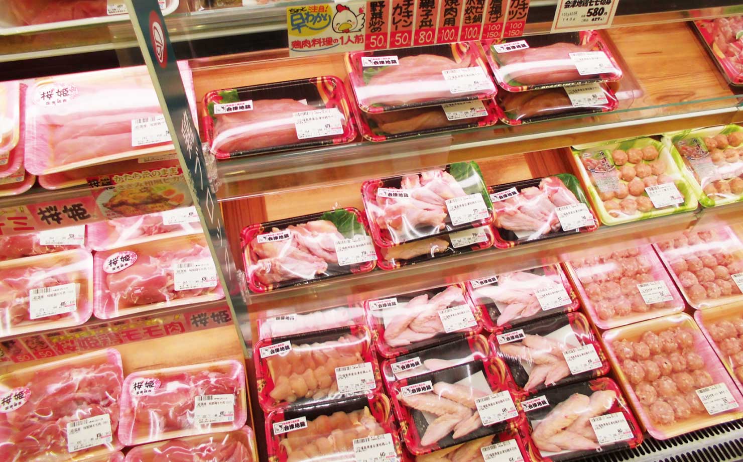 リオン・ドール 滝沢店写真