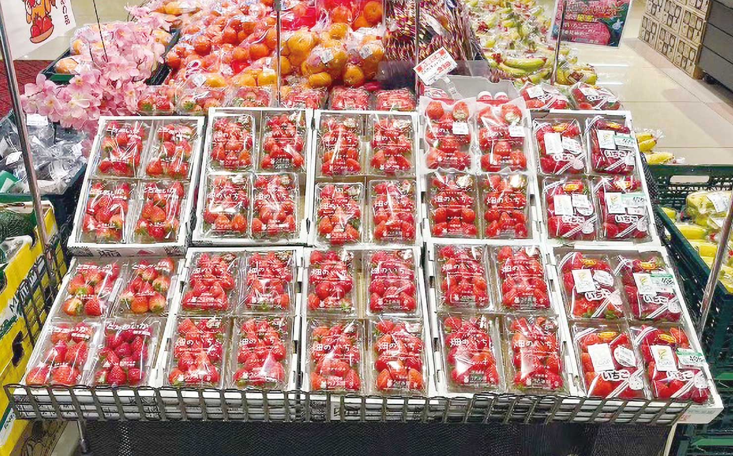 生活協同組合コープあいづ COOP BESTA ほんまち店写真